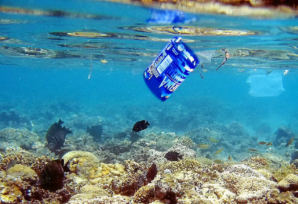 POLLUTION AT SEA: A reader wants the introduction of the 10 cent refund policy on drink containers to help the environment. POLLUTION AT SEA: A reader wants the introduction of the 10 cent refund policy on drink containers to help the environment.